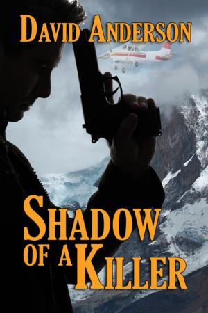 Cover of the book Shadow of a Killer by Vijaya Schartz