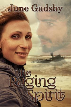 Cover of the book The Raging Spirit by Tricia McGill
