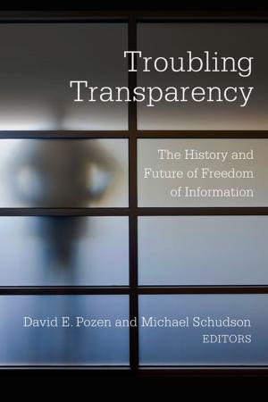 Cover of the book Troubling Transparency by Frederic G. Reamer