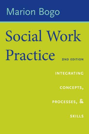 Cover of the book Social Work Practice by David Helfand