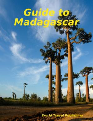 Book cover of Guide to Madagascar