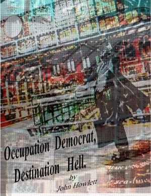 Cover of the book Occupation Democrat, Destination Hell by Jennifer P. Tanabe, Dietrich F. Seidel