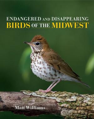 Cover of the book Endangered and Disappearing Birds of the Midwest by Leigh E. Schmidt, Sally M. Promey