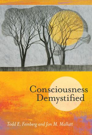 Book cover of Consciousness Demystified