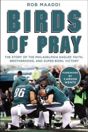 Book cover of Birds of Pray