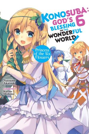 Book cover of Konosuba: God's Blessing on This Wonderful World!, Vol. 6 (light novel)