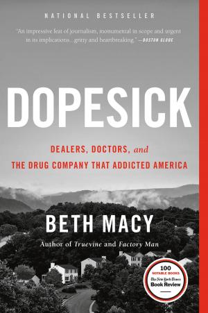 Cover of the book Dopesick by Nina Stibbe