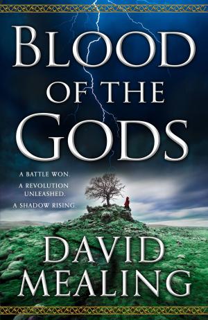 Cover of the book Blood of the Gods by Jaye Wells