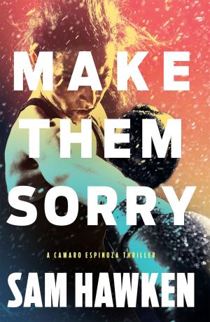 bigCover of the book Make Them Sorry by 