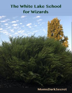 Cover of the book The White Lake School for Wizards by MiFiWriters