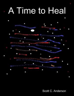 Cover of the book A Time to Heal by Tina Long