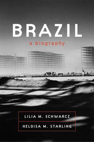 Book cover of Brazil: A Biography