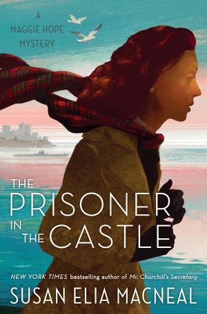 Book cover of The Prisoner in the Castle