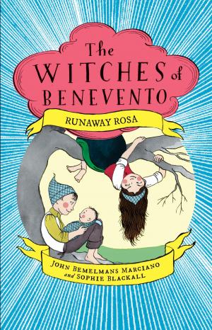 Book cover of Runaway Rosa