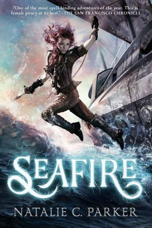 Cover of the book Seafire by Marilyn Ludwig
