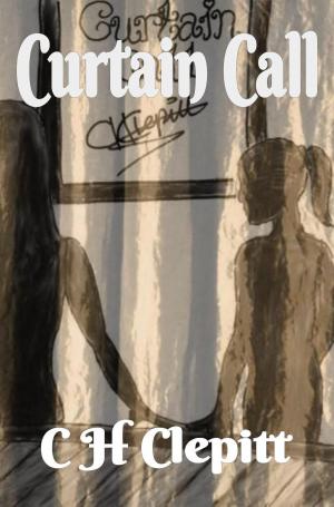 Cover of the book Curtain Call by Jenny Holiday