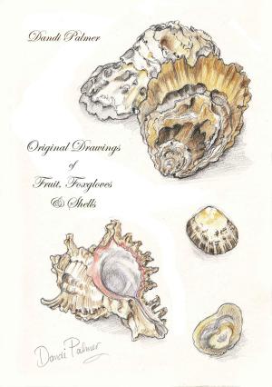 Book cover of Original Drawings of Fruit, Foxgloves and Shells