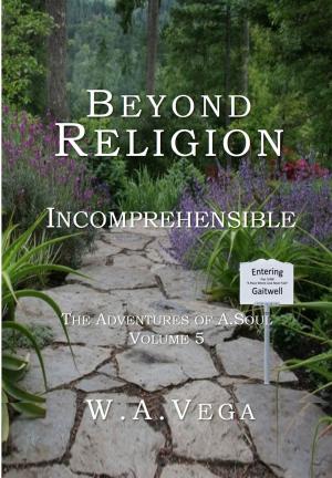 Cover of the book Beyond Religion: Incomprehensible by Darren Stephens, Spike Humer