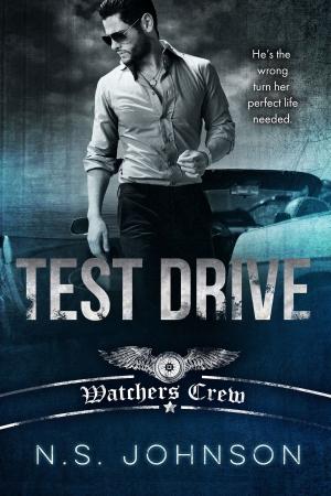 Cover of the book Test Drive by Poppy Asher