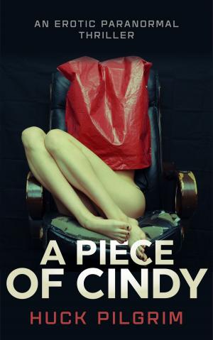 bigCover of the book A Piece of Cindy by 