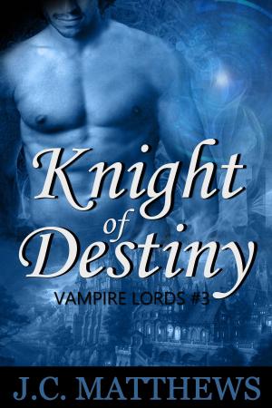 Cover of the book Knight of Destiny (Vampire Lords #3) by E.J. Fechenda