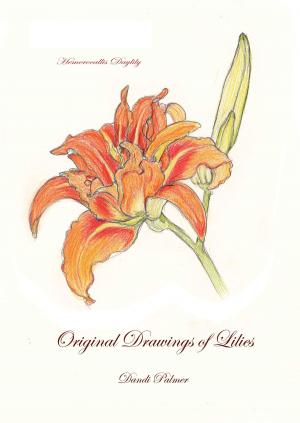 Cover of the book Original Drawings of Lilies by Jonathan Day