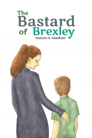 Cover of the book The Bastard of Brexley by Richard Joseph Zazzi