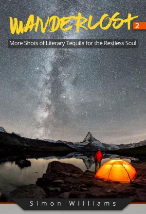 Book cover of Wanderlost 2: More Shots of Literary Tequila for the Restless Soul