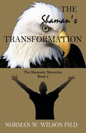 Cover of the book The Shaman's Transformation by Dale Amidei