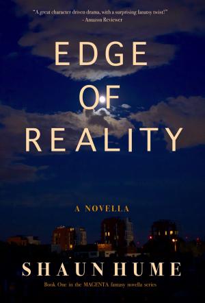 Cover of the book Edge of Reality by Paul O. Williams