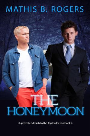 Cover of the book The Honeymoon by Nicole Nethers