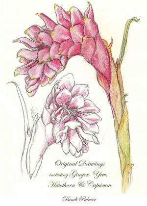Cover of Original Drawings including Ginger, Yew, Hawthorn & Capsicum