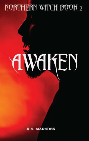 Book cover of Awaken (Northern Witch #2)