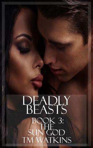 Cover of Deadly Beasts Book 3: The Sun God