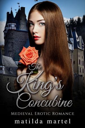 Book cover of The King's Concubine