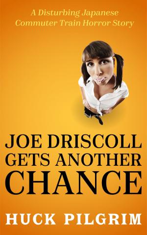 Cover of the book Joe Driscoll Gets Another Chance by Huck Pilgrim