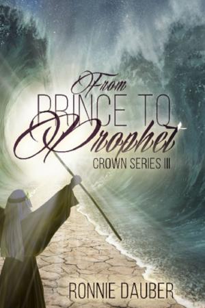 Cover of the book From Prince to Prophet by Os Hillman