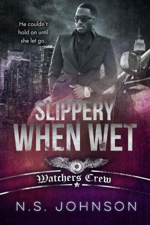 Cover of the book Slippery When Wet by N.S. Johnson