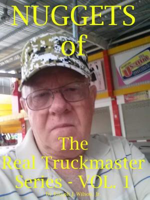 Book cover of Nuggets of the Real Truckmaster Series Volume One