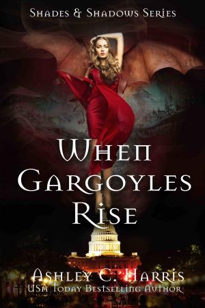 bigCover of the book When Gargoyles Rise by 