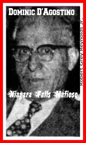 bigCover of the book Dominic D'Agostino Niagara Falls Mafioso by 