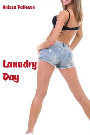 Cover of the book Laundry Day by Anissa Palleson
