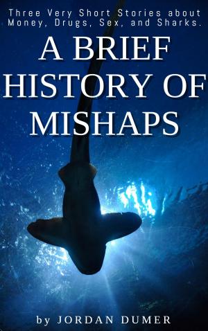 Cover of the book A Brief History of Mishaps by Stephen R Bailey