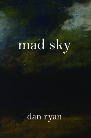 Cover of the book Mad Sky by Joseph J. Pitarella