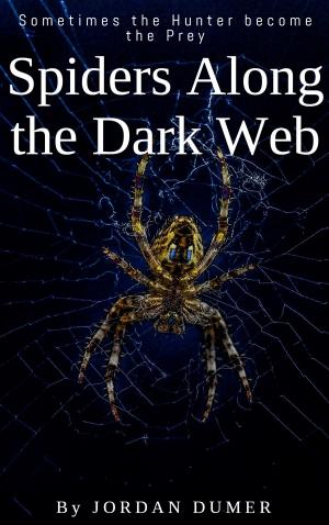 Cover of the book The Spiders Dark Web by Winslow Swan