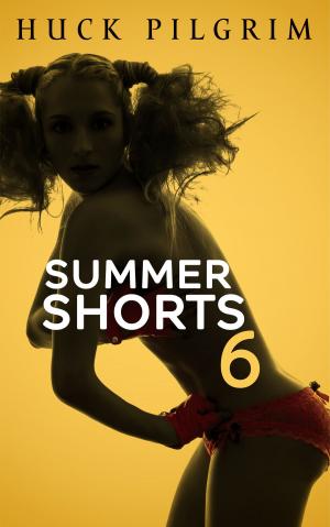 Cover of the book Summer Shorts 6 by Huck Pilgrim