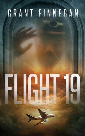 Cover of Flight 19