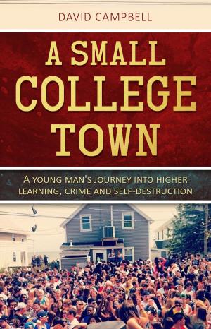 Book cover of A Small College Town