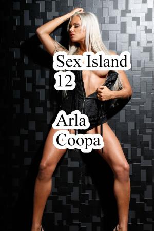 Cover of Sex Island 12