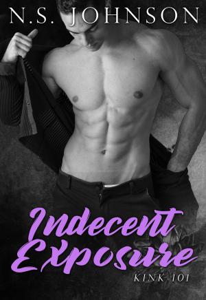 Cover of the book Indecent Exposure by Stephen Olander
